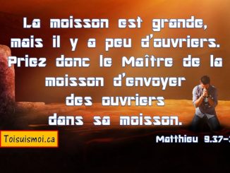 Matthieu 9.37-38