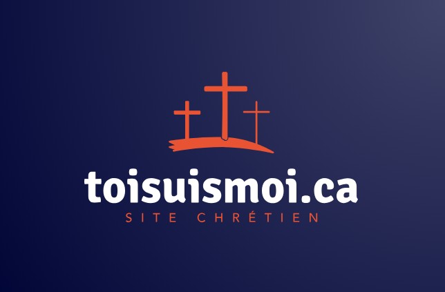 Logo de toisuismoi.ca