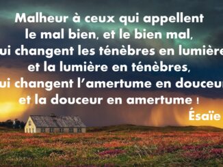 Ésaïe 5.20 : Malheur à ceux qui appellent le mal bien, et le bien mal, Qui changent les ténèbres en lumière, et la lumière en ténèbres, Qui changent l’amertume en douceur, et la douceur en amertume !