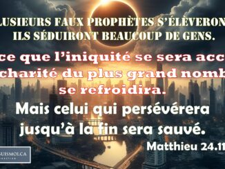 Plusieurs faux prophètes s’élèveront, et ils séduiront beaucoup de gens. 12 Et, parce que l’iniquité se sera accrue, la charité du plus grand nombre se refroidira. 13 Mais celui qui persévérera jusqu’à la fin sera sauvé. Matthieu 24.11-13