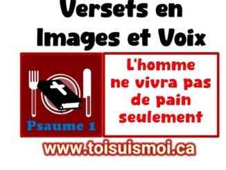 Versets en images et voix