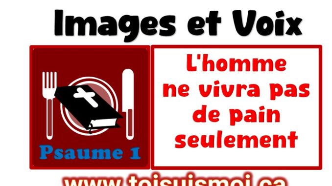 Versets en images et voix